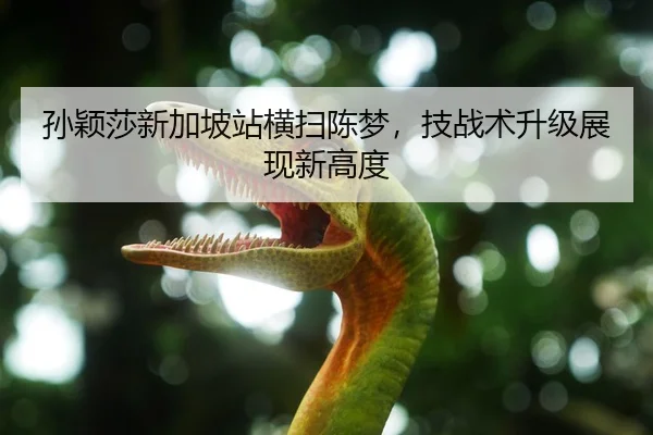 孙颖莎新加坡站横扫陈梦，技战术升级展现新高度