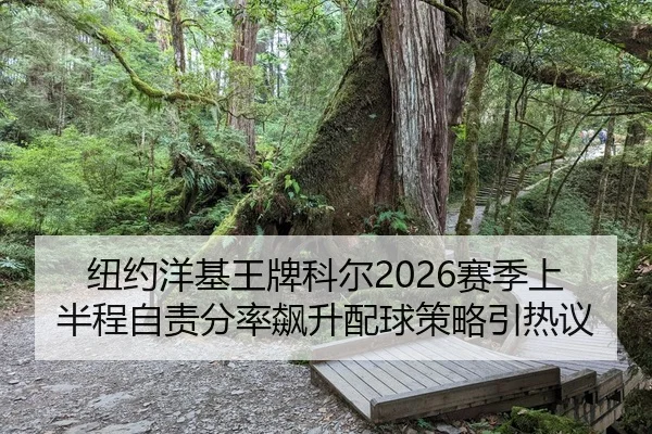 niu-yue-yang-ji-wang-pai-ke-er-sai-ji-shang-ban-cheng-zi-ze-fen-lv-biao-sheng-pei-qiu-ce-lve-yin-re-yi-2-941.jpg